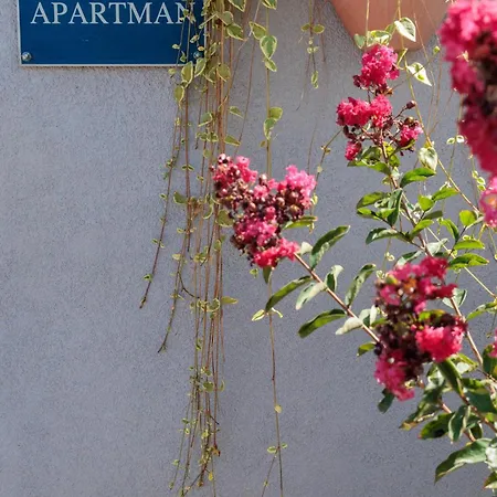 Luxury Alba With Pool Apartman